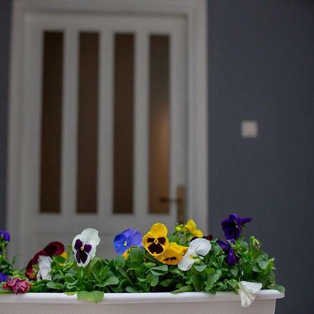 Apartmani Sunset Rogotin Kültér fotó