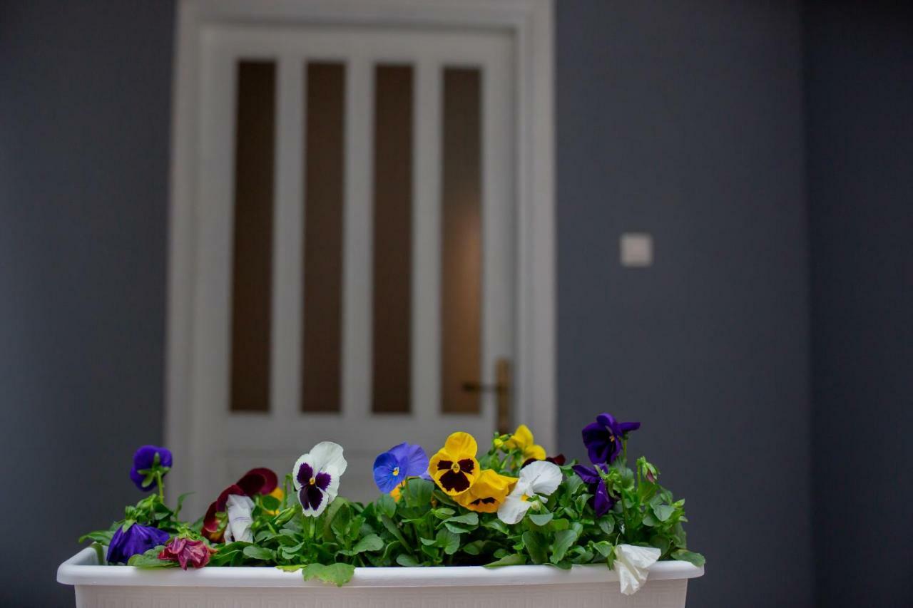 Apartmani Sunset Rogotin Kültér fotó